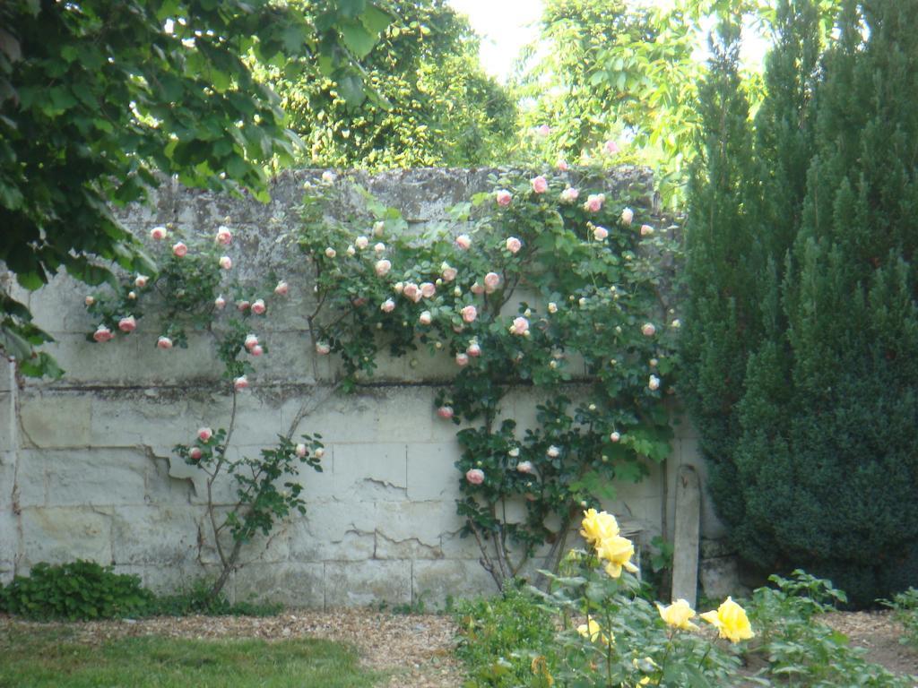 Villa Chanelle Les Rosiers Εξωτερικό φωτογραφία